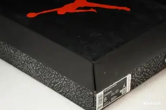 AIR JORDAN 3 DN3707-161 0606
